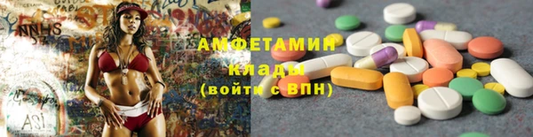 ECSTASY Ельня