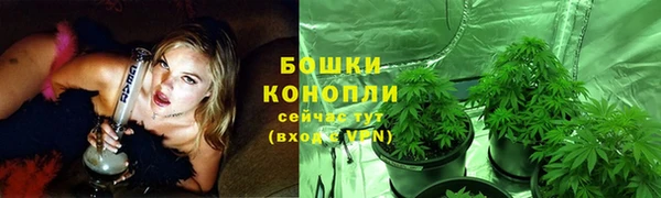 ECSTASY Ельня