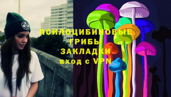 ECSTASY Ельня