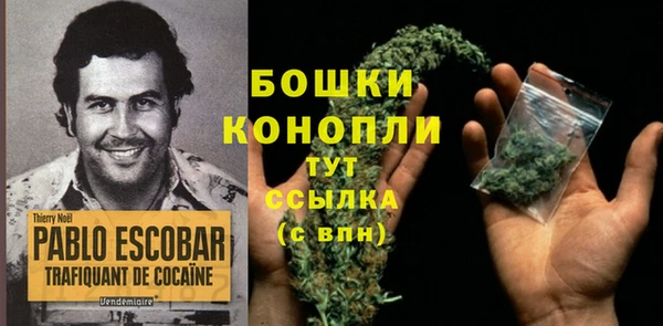 ECSTASY Ельня