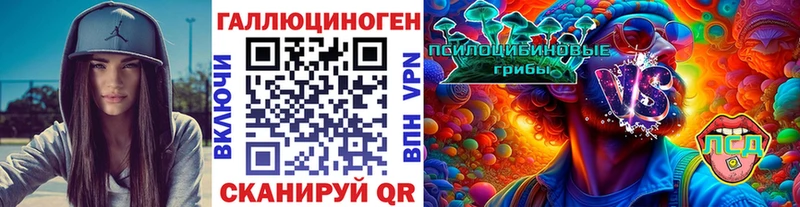 где можно купить   Ковдор  Псилоцибиновые грибы Cubensis 
